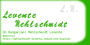 levente mehlschmidt business card